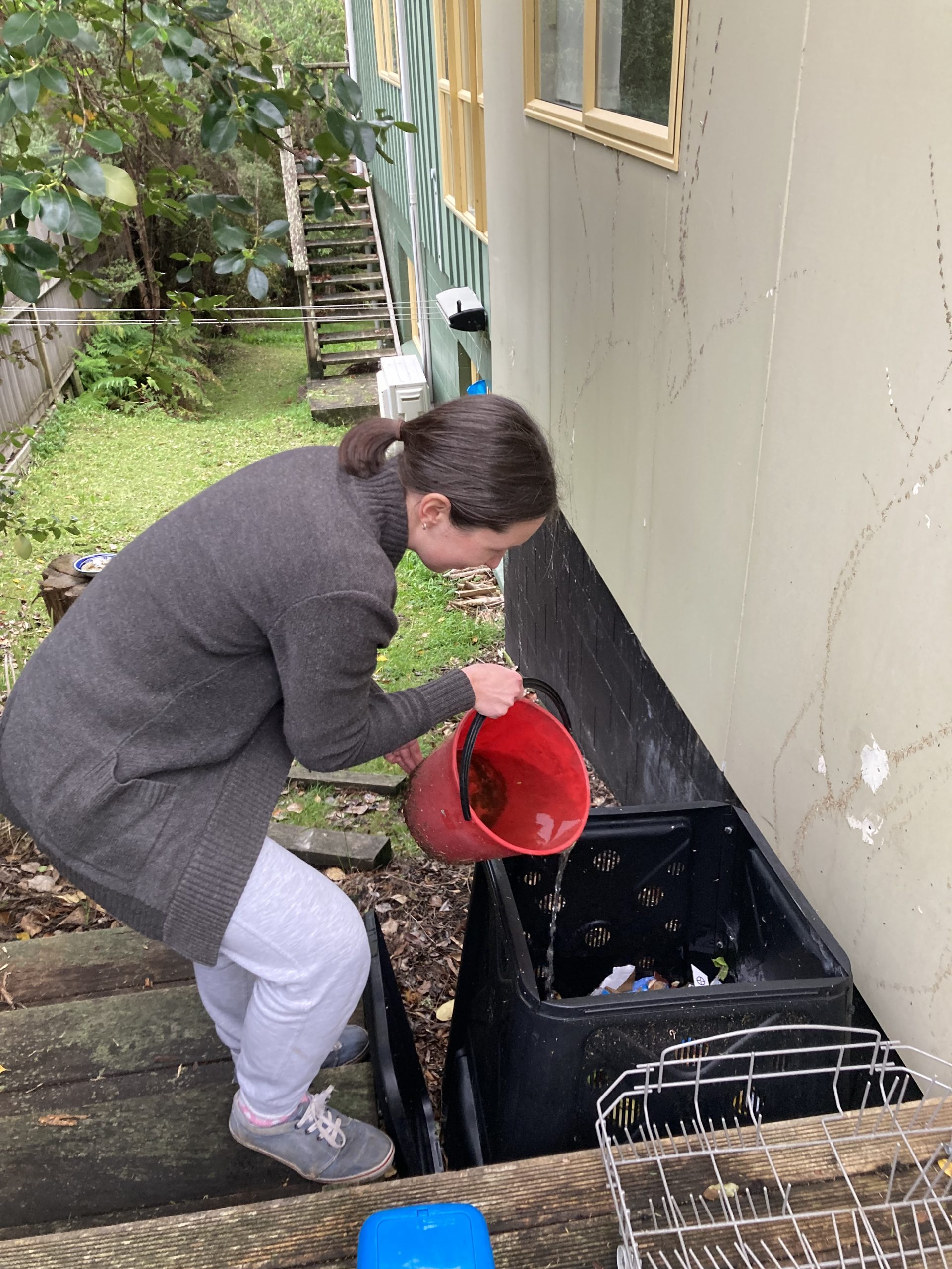 Lena's Composting Journey - Compost Collective